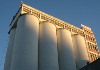 Federación Nacional de productores de trigo