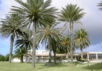 Hotel de Porto Santo